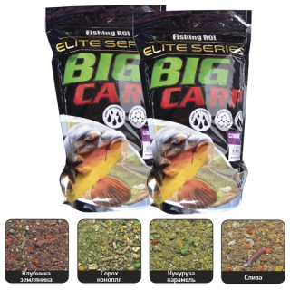 Прикормка Fishing ROI Elite Big Carp 1кг Слива